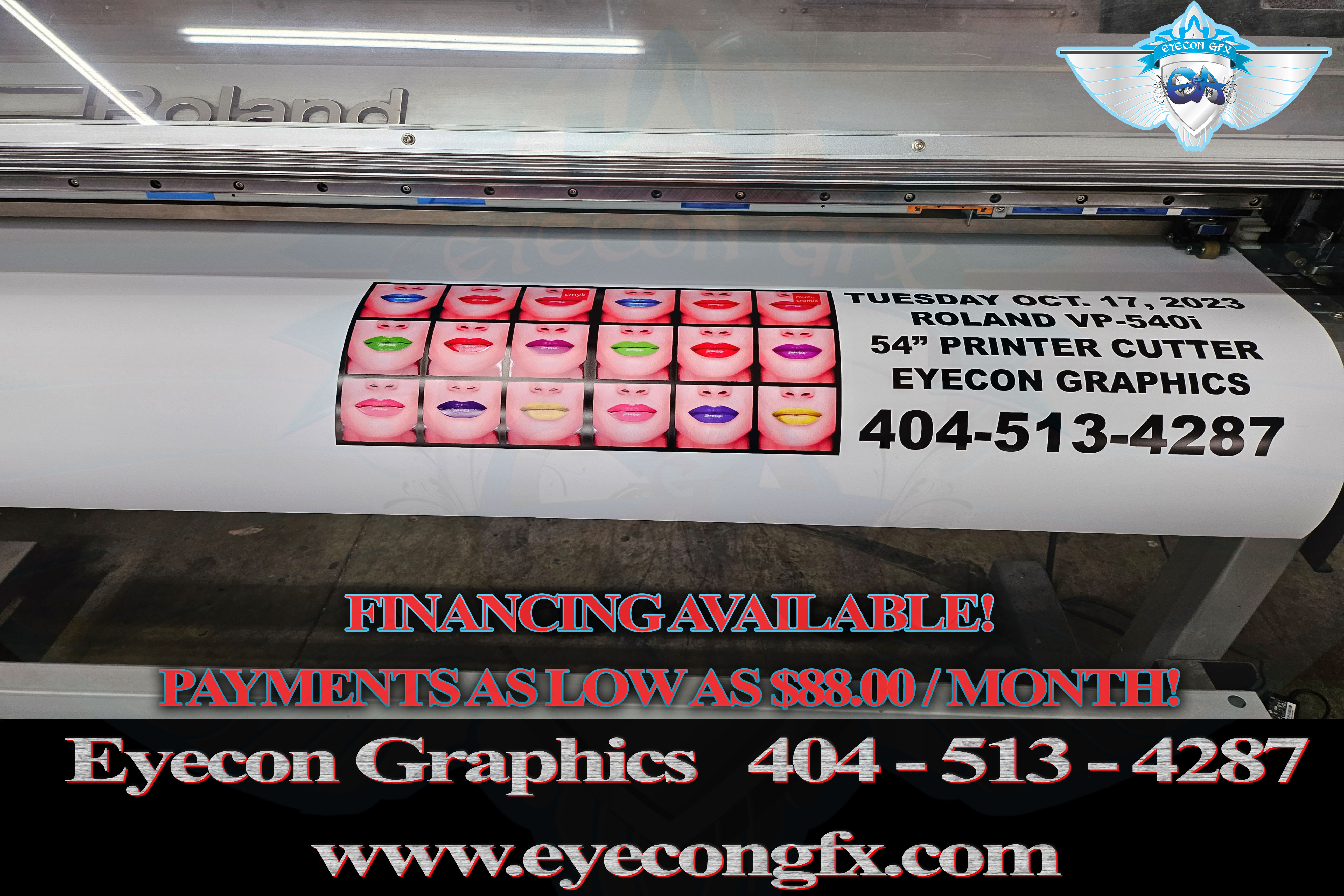 ROLAND VP540i 54" printer cutter