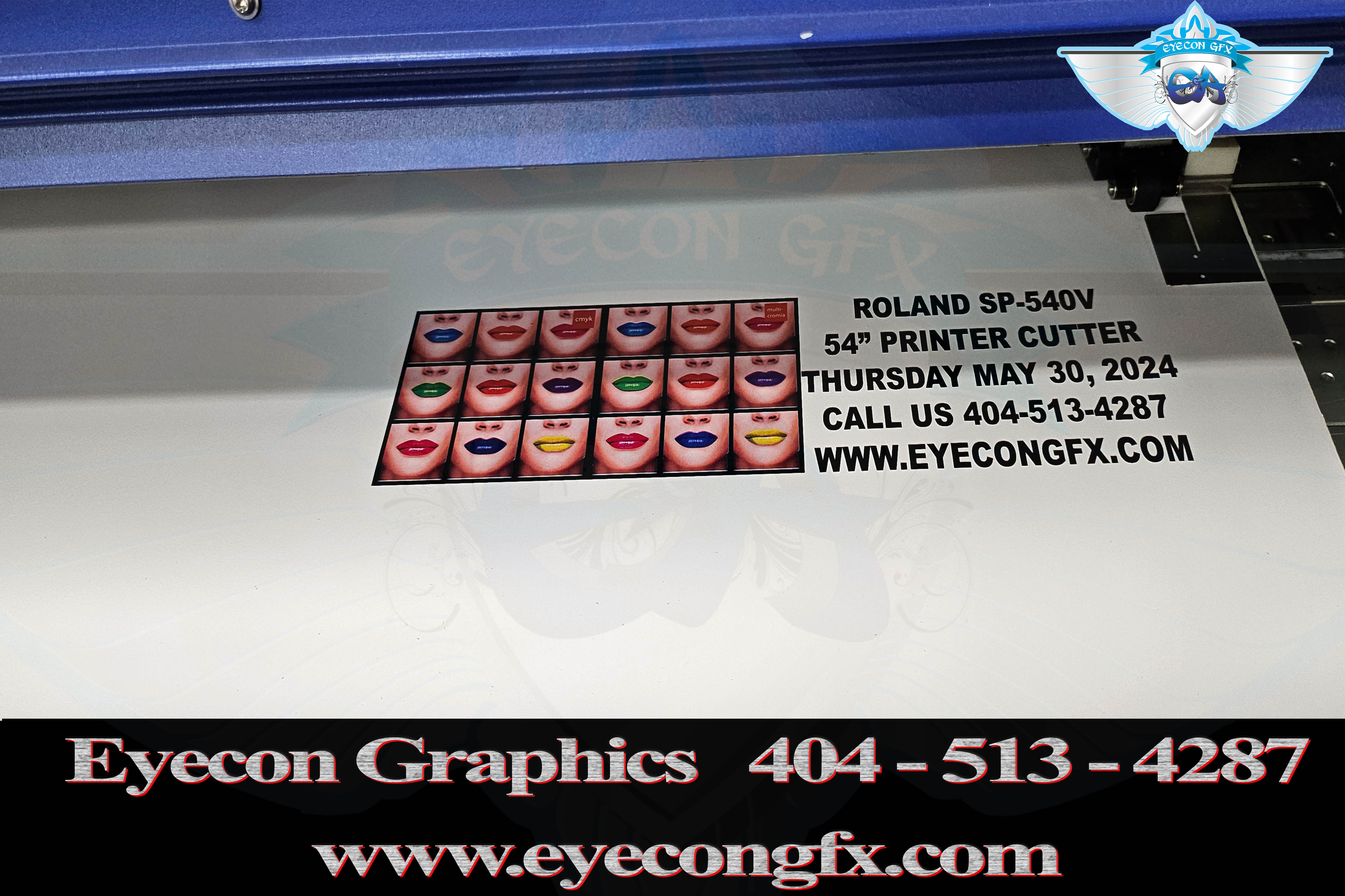 ROLAND SP540V Brand new printheads!