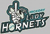 Can someone please digitize this!$!-sample_hickory-hornets.jpg