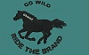 Embroidery Digitizing Desings-go-wild-horse-back.jpg