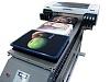 Neoflex DTG and Solvent Printing System-neoflex-chicago-dtg-direct-garment.jpg