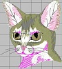 First design for share!-abyssinian2.jpg