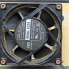 pxl-20261014-010634595.jpg
